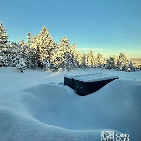 New Cabin Near X Country Ski Trails At Blefjell With Jacuzzi Feriehus