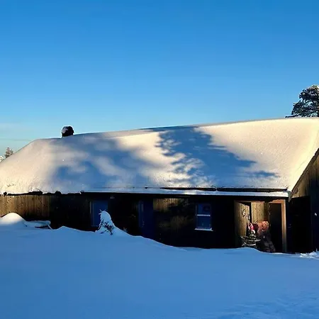New Cabin Near X Country Ski Trails At Blefjell With Jacuzzi