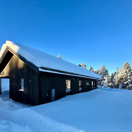 New Cabin Near X Country Ski Trails At Blefjell With Jacuzzi Flesberg